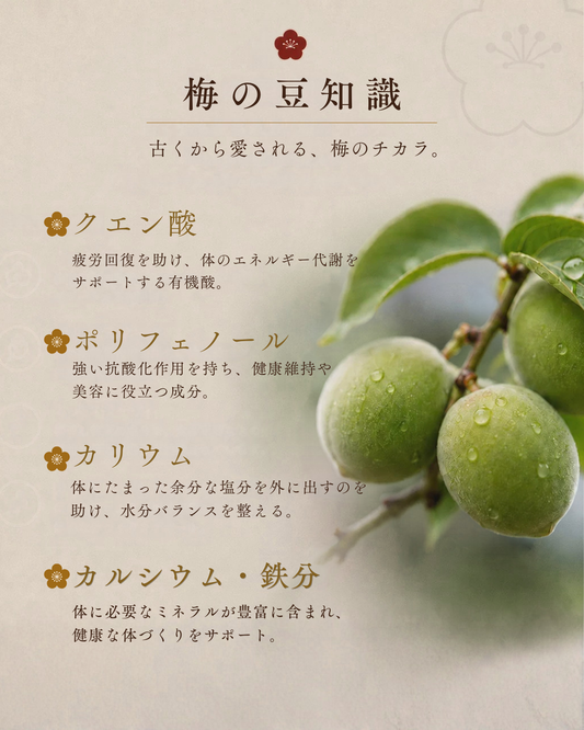 減塩しそ梅　塩分約３％