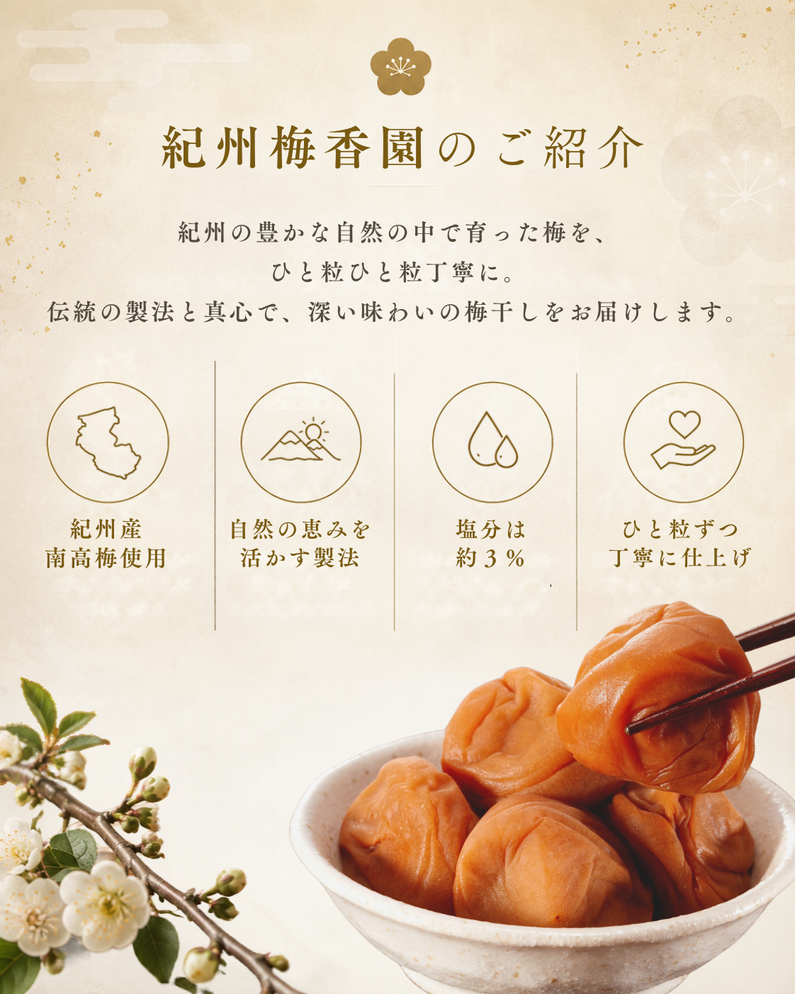 減塩はちみつ梅　塩分約３％