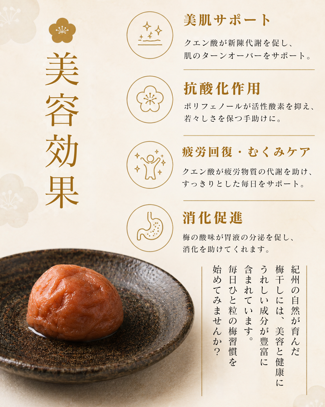 減塩はちみつ梅　塩分約３％